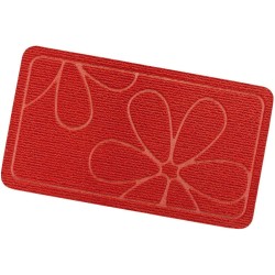Zerbino Ingresso Assorbente Antiscivolo Asciugapassi Interno Esterno