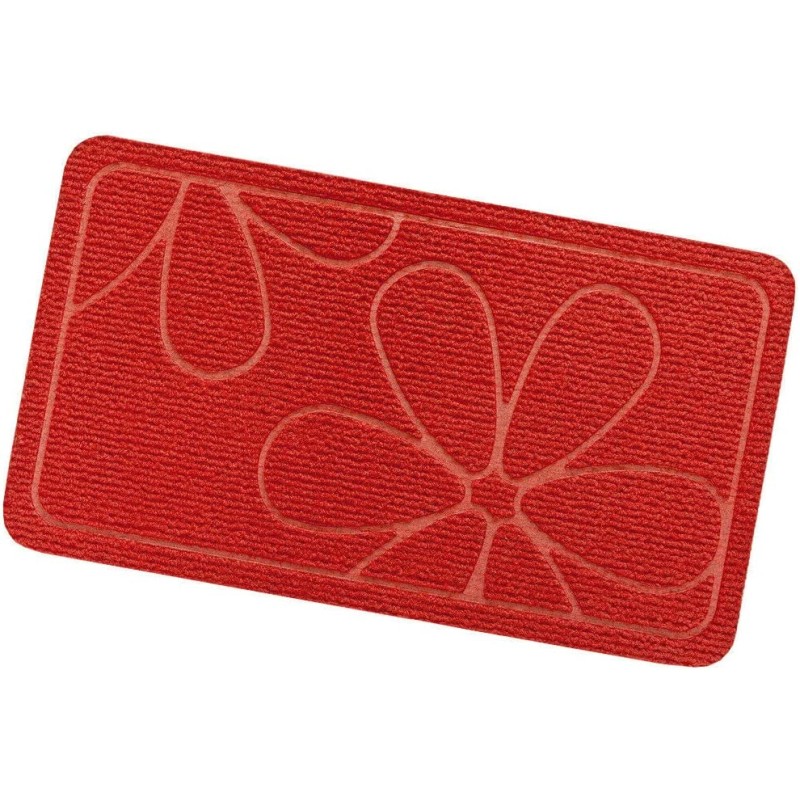 Zerbino Ingresso Assorbente Antiscivolo Asciugapassi Interno Esterno